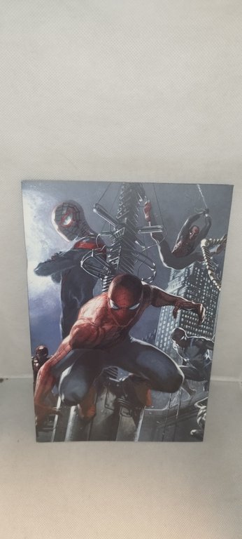 amazing spiderm-man ragnoverso variant covere gabiele dell'otto 13-14- 15-16-17-18