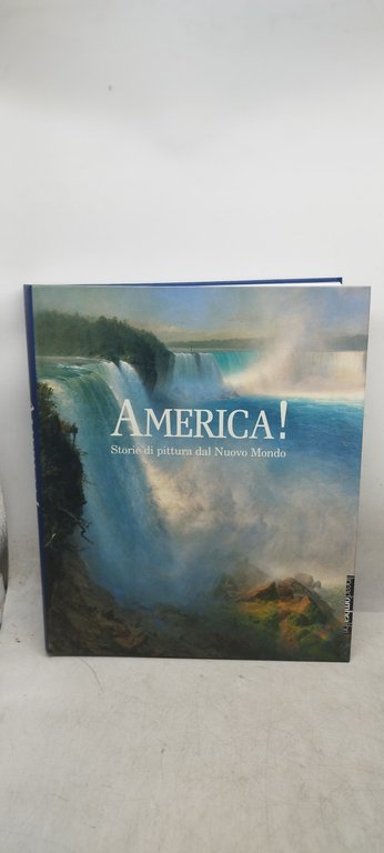 america storie di pittura dal nuovo mondo
