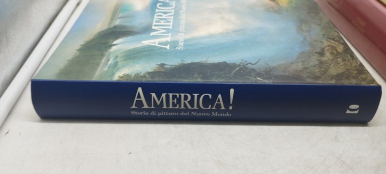 america storie di pittura dal nuovo mondo