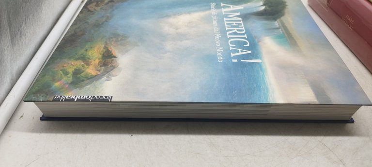 america storie di pittura dal nuovo mondo