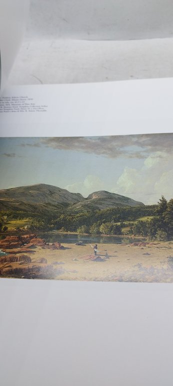 america storie di pittura dal nuovo mondo