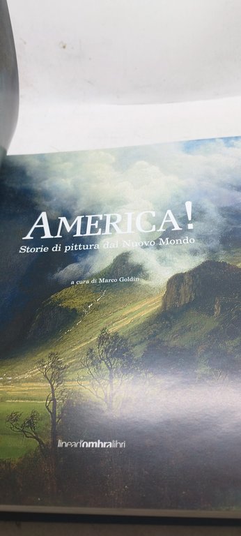 america storie di pittura dal nuovo mondo