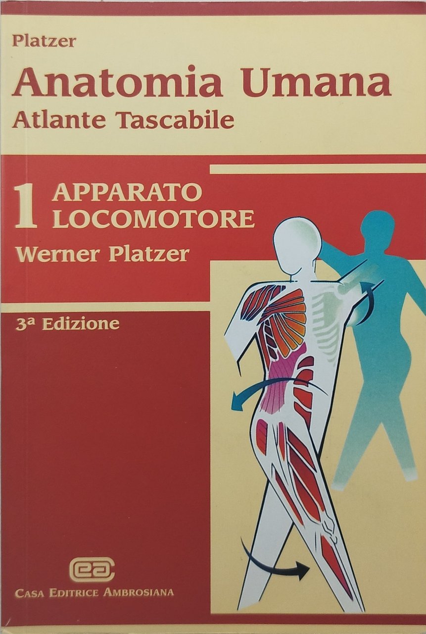 anatomia umana atlante tascabile v 1 apparato locomotore