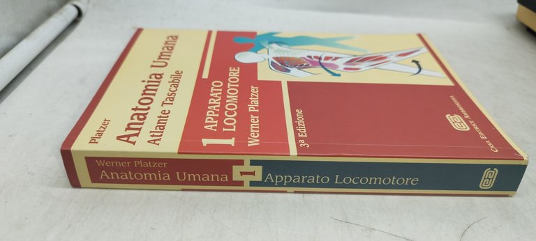 anatomia umana atlante tascabile v 1 apparato locomotore