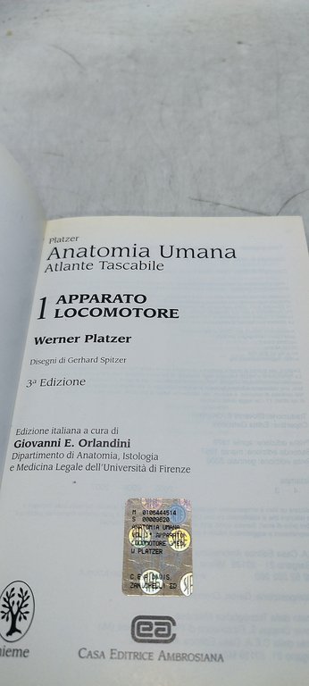 anatomia umana atlante tascabile v 1 apparato locomotore