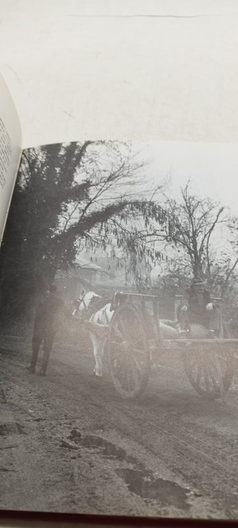 andrea maietti provincia addio? foto di valerio sartorio