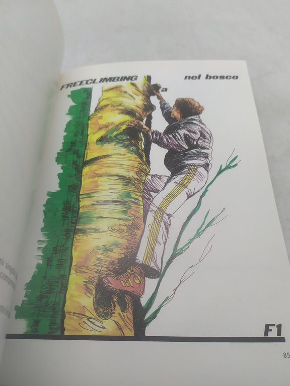 andrea mercanti manuale della nuova pionieristica bur