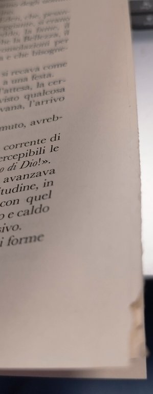 angelica la vittoria di angelica vallardi 1987 | Immagine Gallery 6
