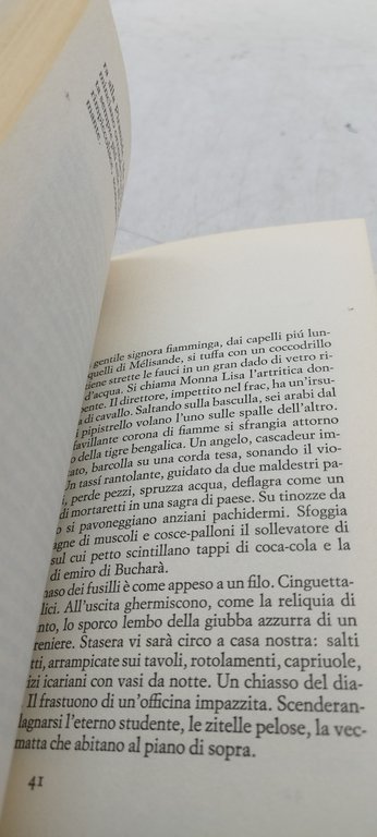 angelo maria ripellino storie del bosco boemo