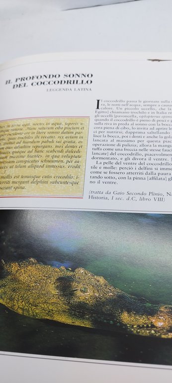 animali aficani miti e leggende mauro burzio