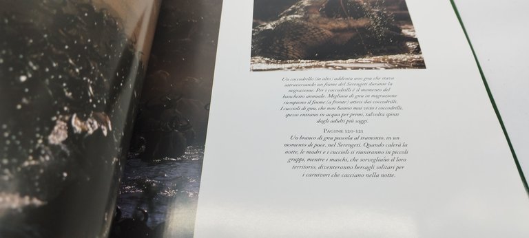 animali d'afica introduzione di jane goodall