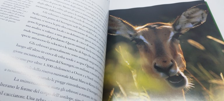 animali d'afica introduzione di jane goodall