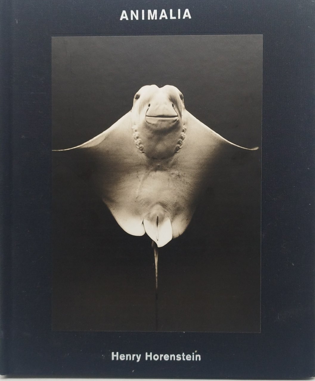 animali henry horenstein