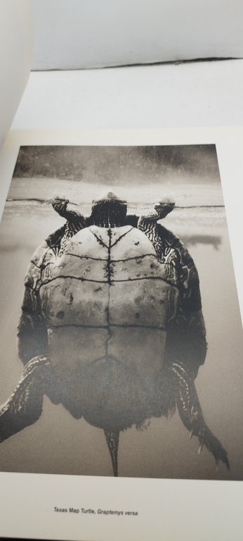 animali henry horenstein