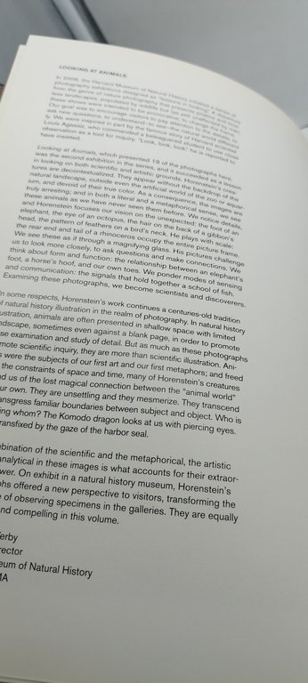 animali henry horenstein