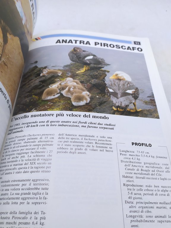 animali misteriosi insolti bizzarri una enciclopedia dele meraviglie della natura