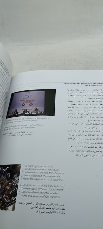 anno italo egiziano della scienza e della tecnologia 2009