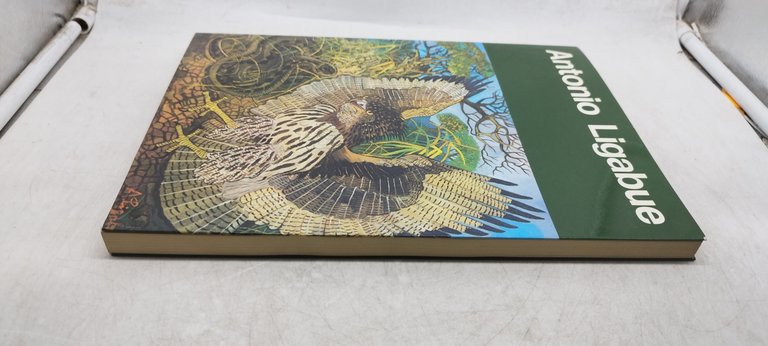 antonio ligabue sergio negri