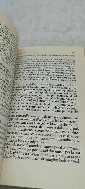 arboreto salvatico einaudi tascabili mario rigoni stern