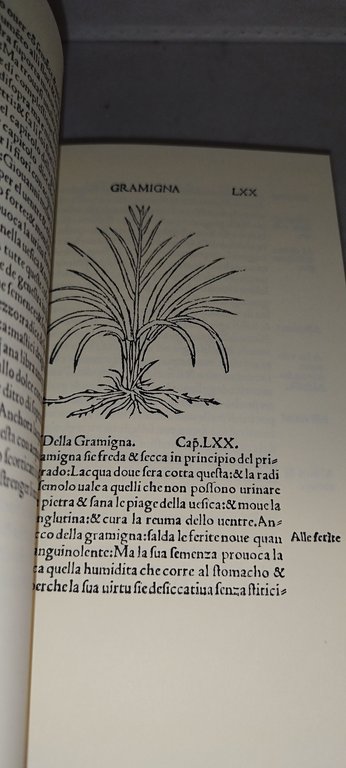 arnaldo da villanova herbolario