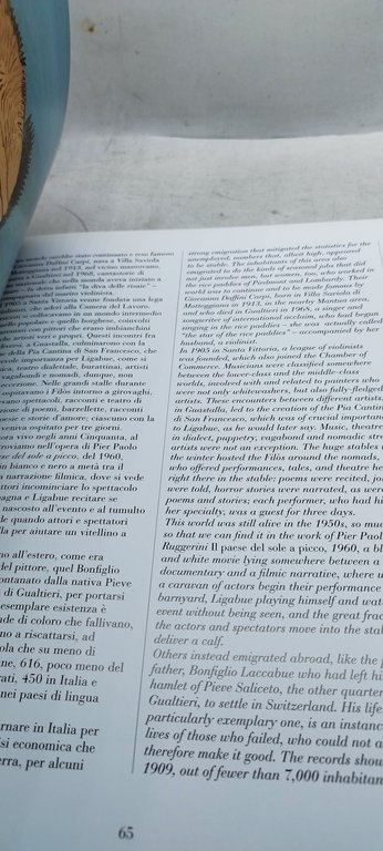 arte e follia antonio ligabue pietro ghizzardi franco maria ricci