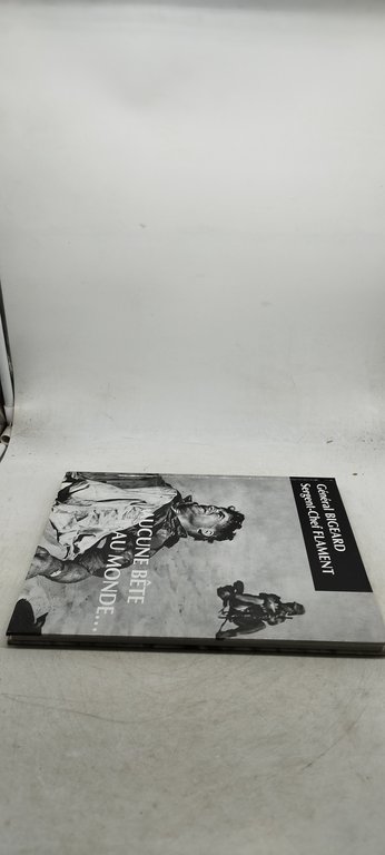 Aucune bête au monde general bigeard segent chef flament