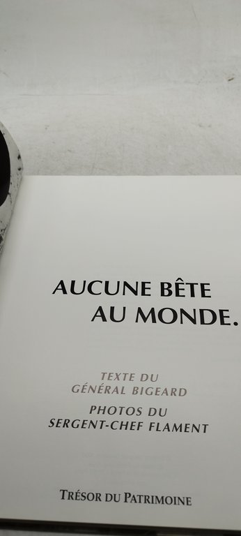 Aucune bête au monde general bigeard segent chef flament