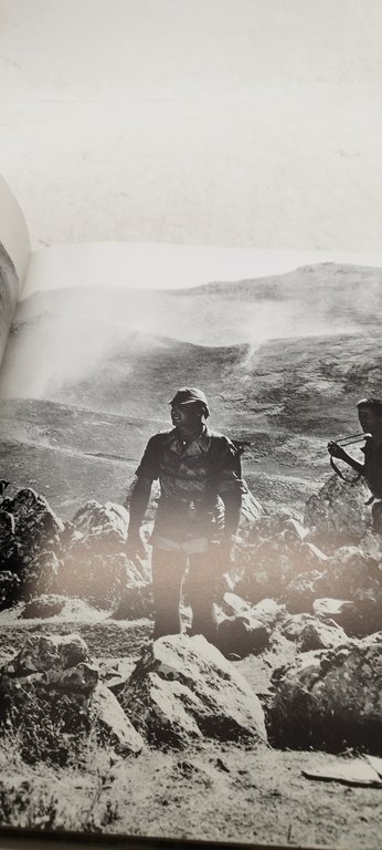 Aucune bête au monde general bigeard segent chef flament