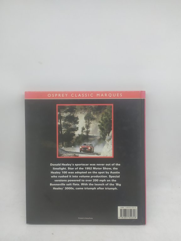 austin healey 100 &amp; 3000 david mclavin &amp; andrew tipping