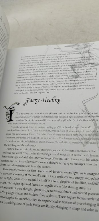 bad faeries good faeries