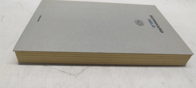 bernhard gelo einaudi