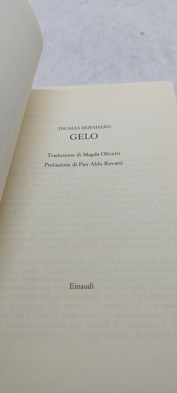 bernhard gelo einaudi