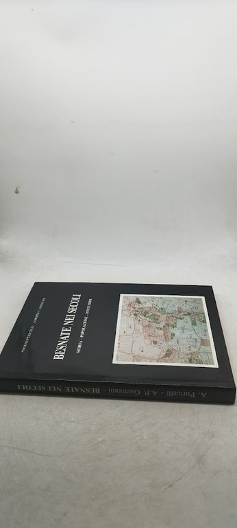 besnate nei secoli storia popolazione istituzioni