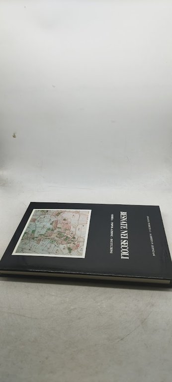 besnate nei secoli storia popolazione istituzioni
