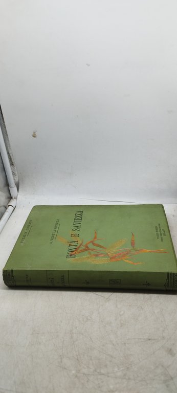 bontà e saviezza vertua gentile hoepli