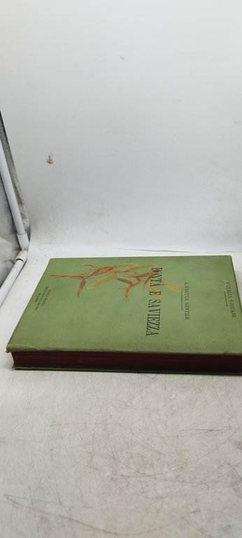 bontà e saviezza vertua gentile hoepli