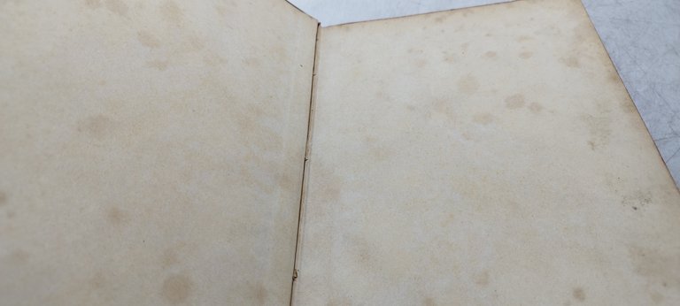 bontà e saviezza vertua gentile hoepli