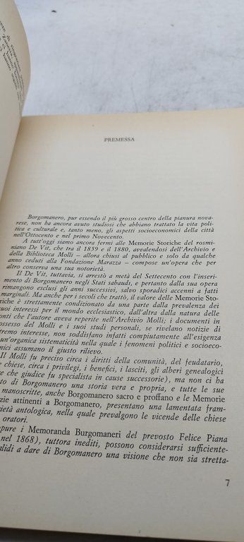 borgomanero nell'ottocento e nel primo novecento gribaudo