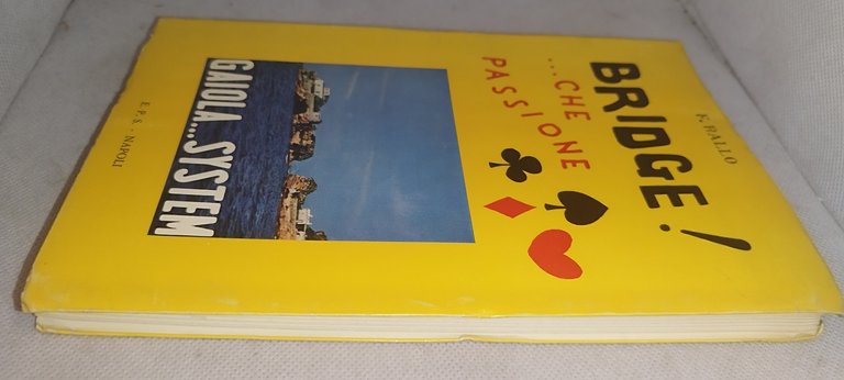 bridge che passione gaiola system | Immagine Gallery 3