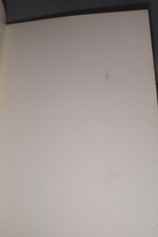 bridge naturale metodo archimede antonio montanari | Immagine Gallery 7