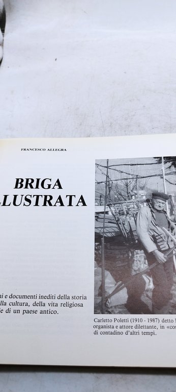 briga illustrata francesco allegra