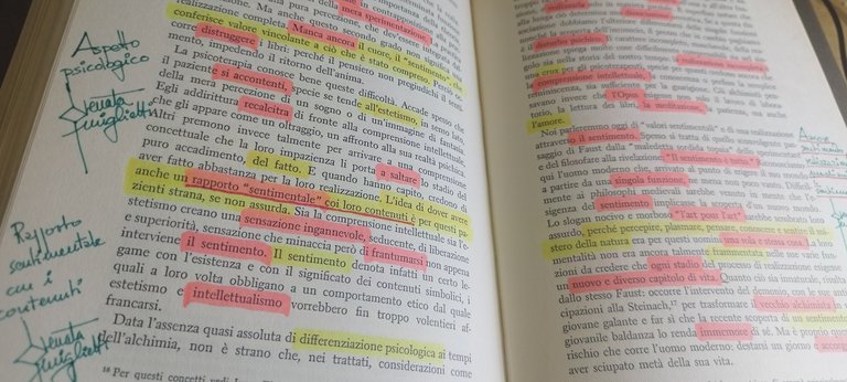 c.g.jung opere 20 volumi boringhieri volumi sottolineati evidenziati a colori …