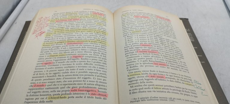c.g.jung opere 20 volumi boringhieri volumi sottolineati evidenziati a colori …