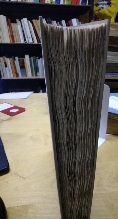 campanella poesie filosofiche fogola editore 1982 maggio