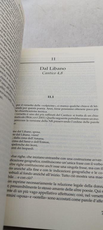 cantico dei cantici claudiana