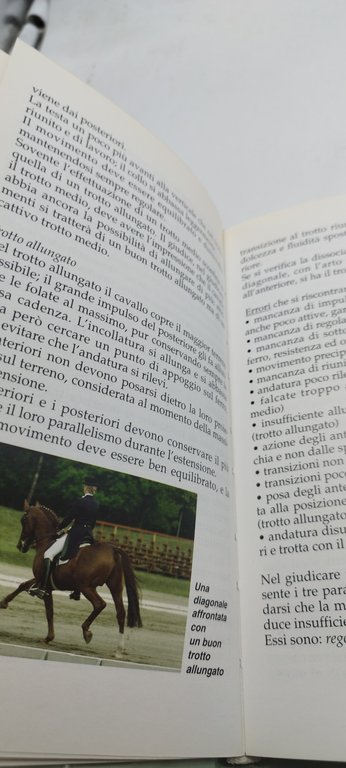 capire il dressage adalberto boetti villanis