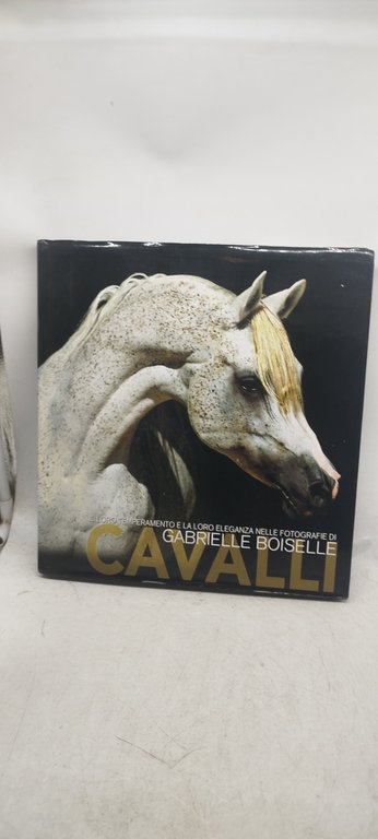 cavalli il loro temperamento e la loro eleganza nelle fotografie …