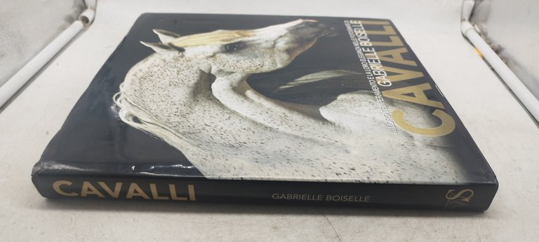 cavalli il loro temperamento e la loro eleganza nelle fotografie …