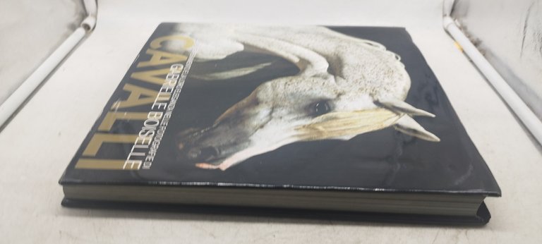 cavalli il loro temperamento e la loro eleganza nelle fotografie …