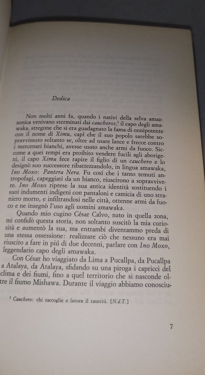 cesar calvole tre metàdi ino moxo e altri maghi verdi | Immagine Gallery 5